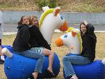 InflatablesUSA.com Pony Hops Small - Box of 1 Hippity Hop Inflatables Horses 