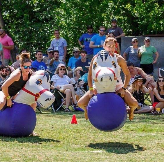 adult bouncy horse